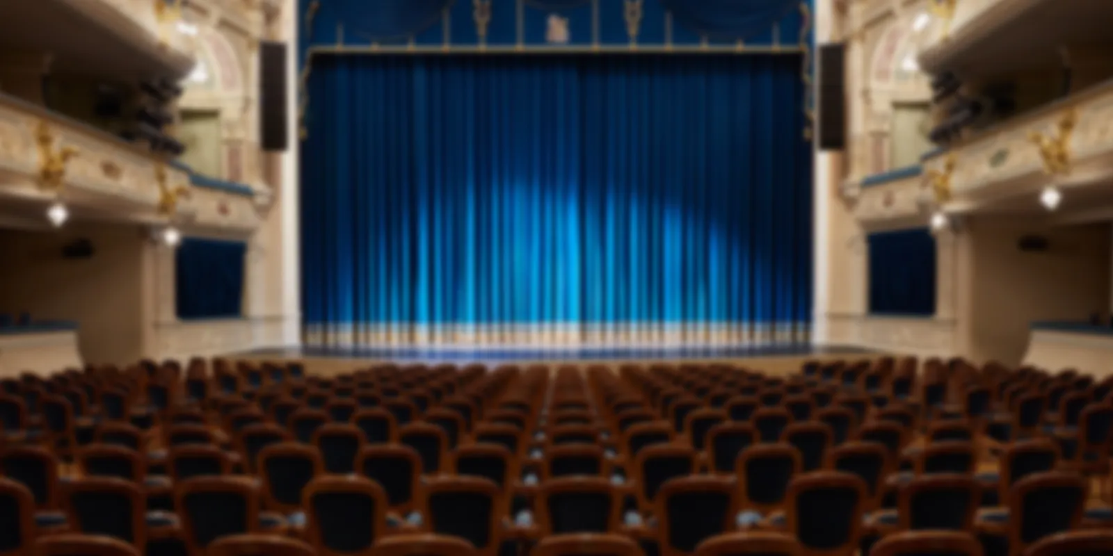 Спектакли БДТ